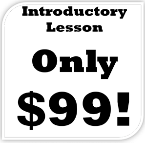 Introductory Lesson only $99